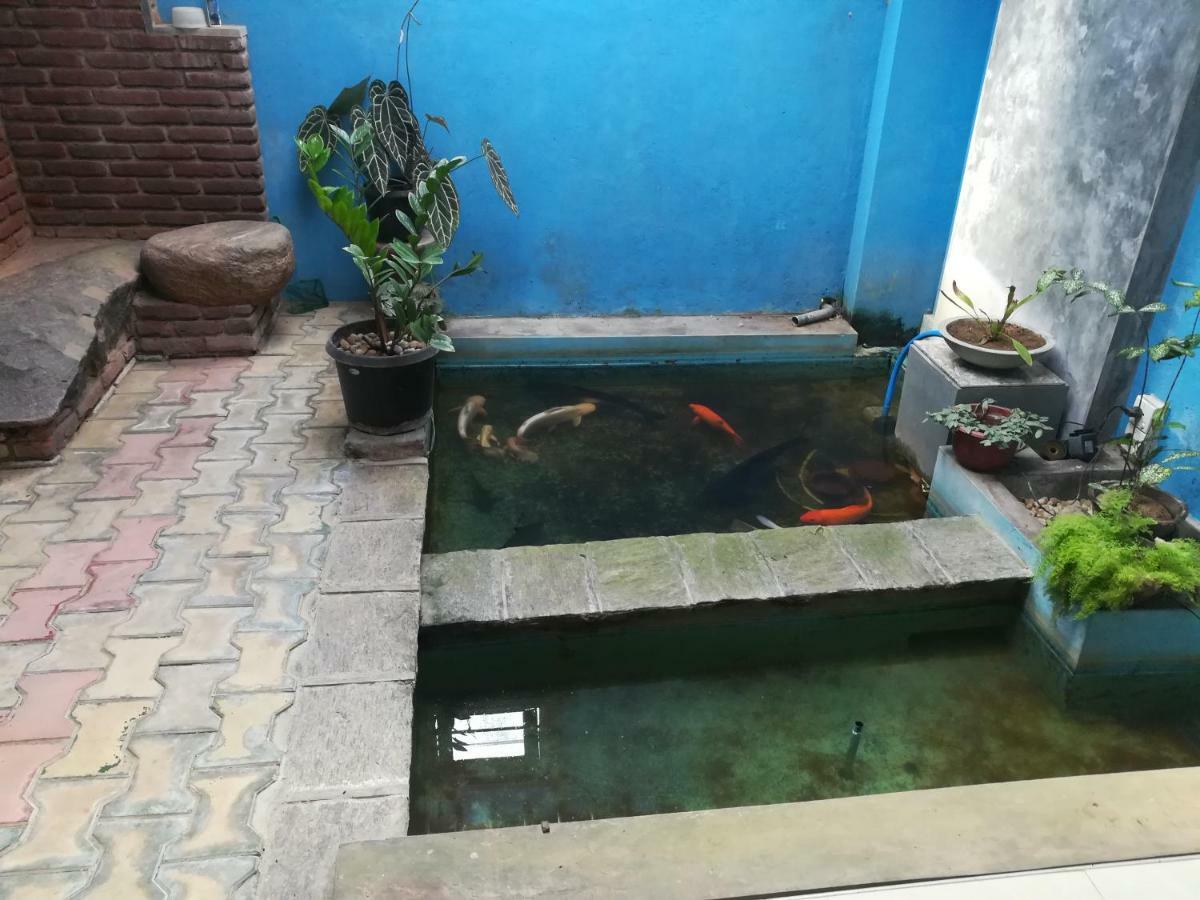 Aurora Echo Villa Matara Bagian luar foto