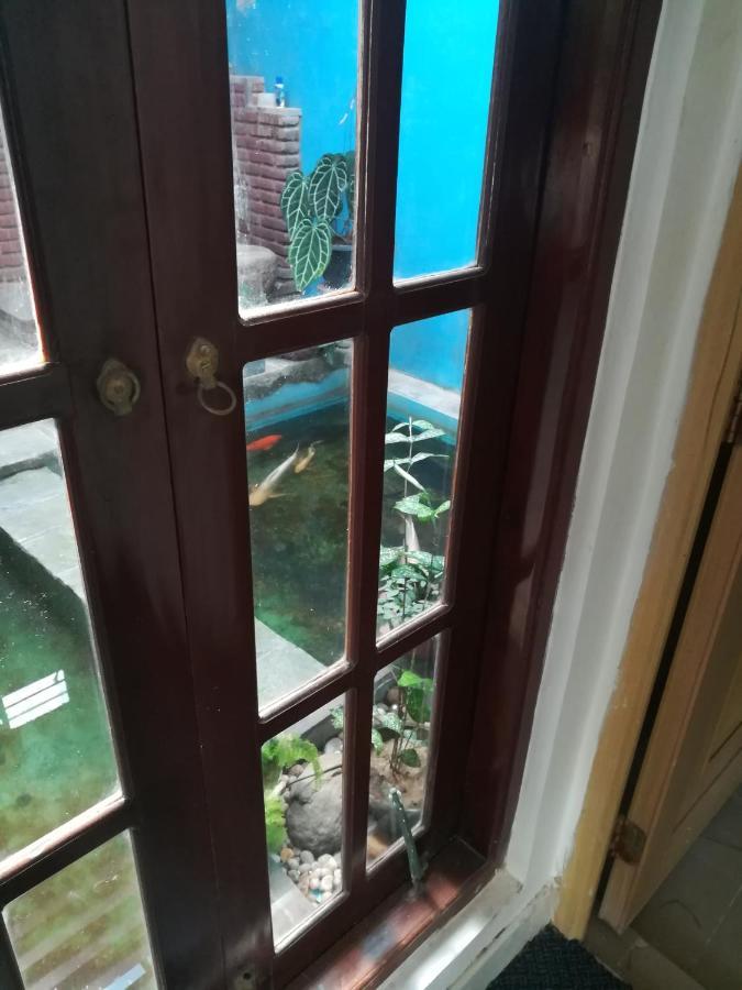 Aurora Echo Villa Matara Bagian luar foto